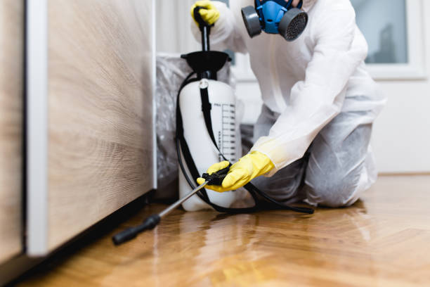 Pest Control for Restaurants in Del Rio, TX