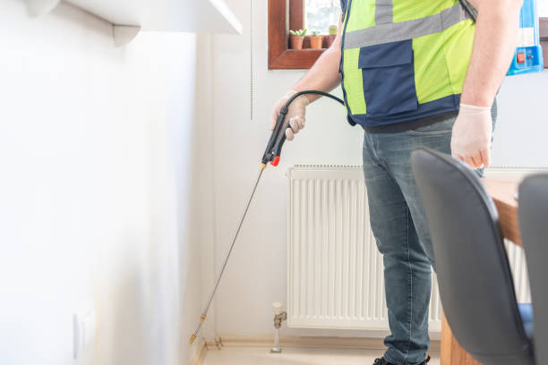 Best Ant Control Services  in Del Rio, TX