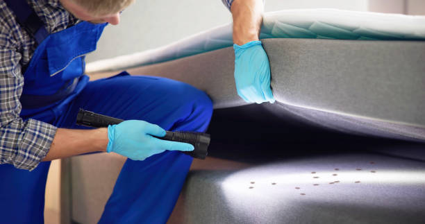 Best Commercial Pest Control Services  in Del Rio, TX