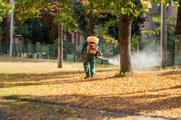 Best Cockroach Control Services  in Del Rio, TX
