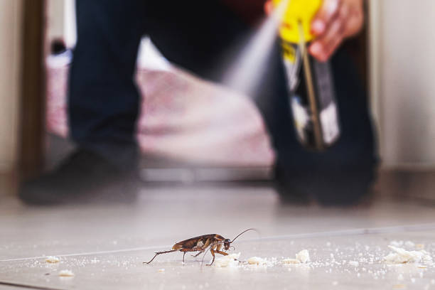 Pest Prevention Services in Del Rio, TX