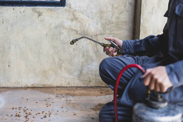 Professional Pest Control in Del Rio, TX