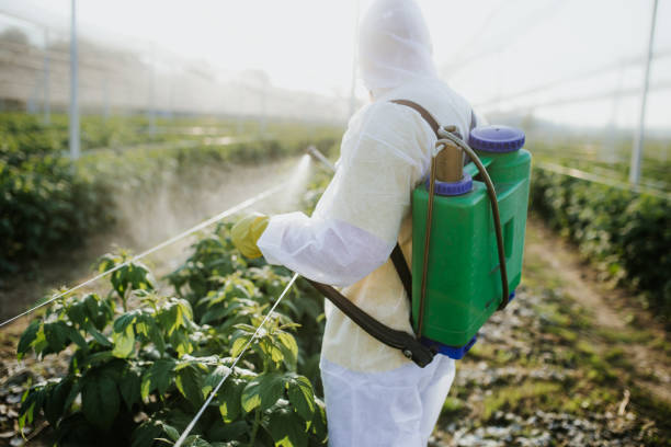 Best Best Pest Control Companies  in Del Rio, TX